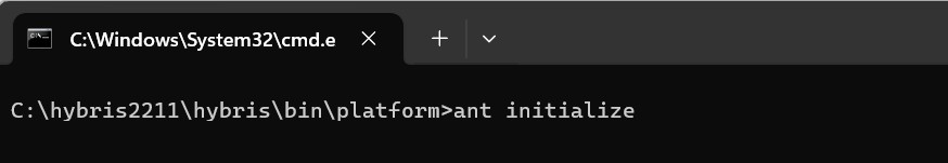 SAP hybris syatem initialization command