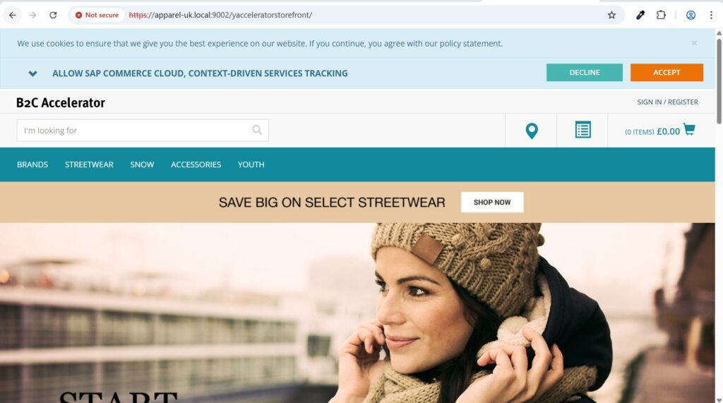 Sample storefront site after SAP Hybris Installation locallly
