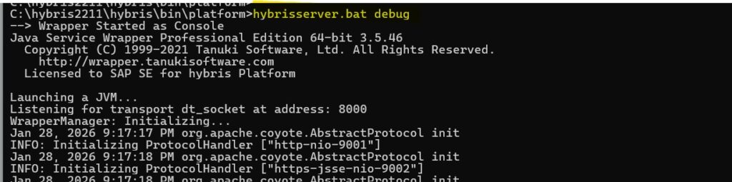 SAP hybris server start command